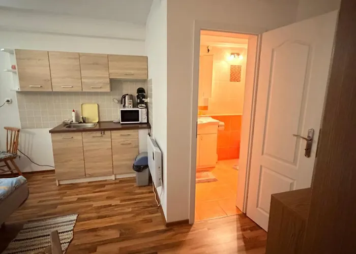Apartmán Mlyn 1997